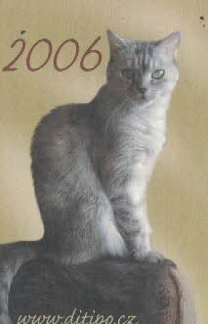 2006 kočka