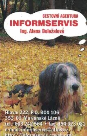 Informservis