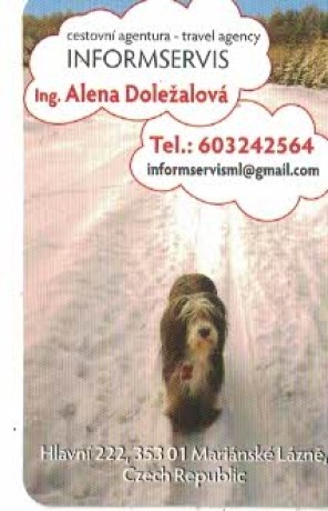 Informservis