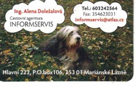 Informservis