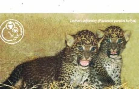 2007 ZOO Jihlava