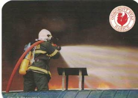 rok 2004