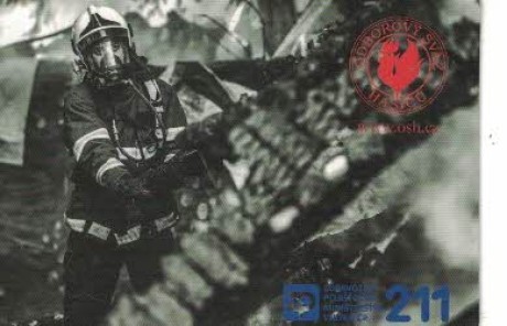 rok 2019