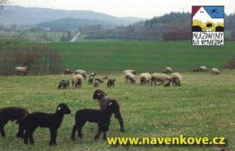 Prázdniny na venkově 1