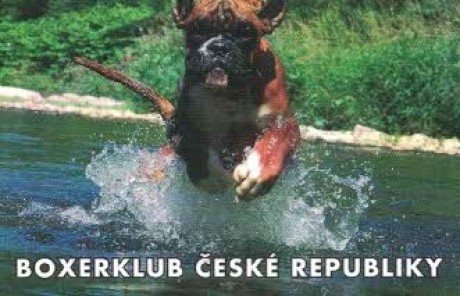 Boxer klub