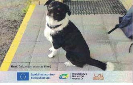 Přemyslovské Čechy 2