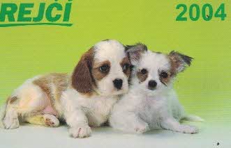 2004 Krejčí