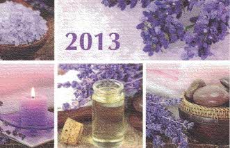 2013  dělená  levandule 1