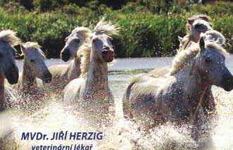 MVDr.Herzig