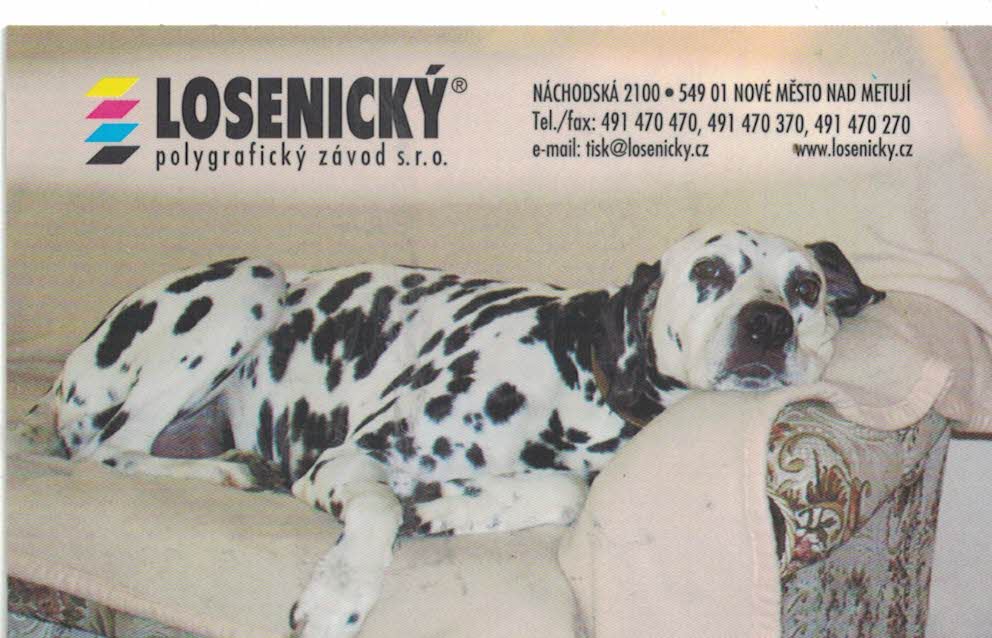 Losenický dalmatin