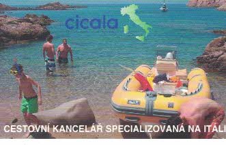 Cicala