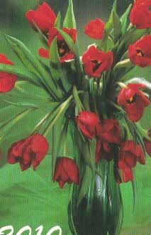 2010 - tulipány