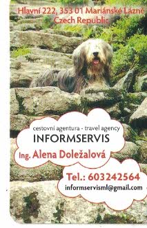 Informservis