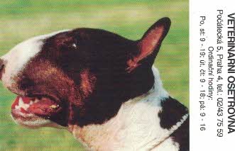 1997 veter.ošetřovna