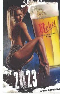 2023 Rebel