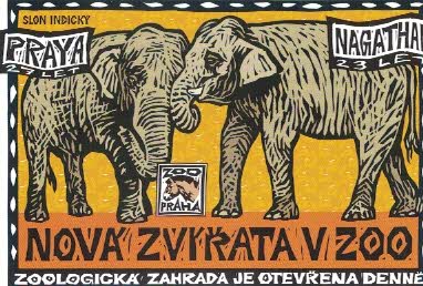 2004/1 ZOO Praha