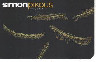 Pikous