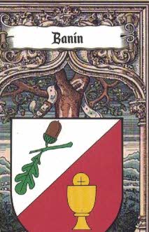 Banín