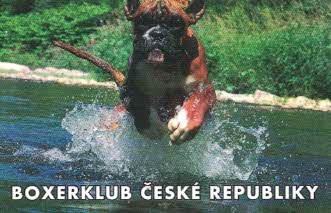 Boxer klub