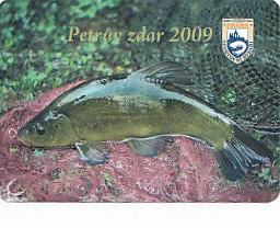 petrův zdar 1